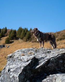 Kleinwalsertal 2025-14.jpg