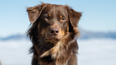 Kleinwalsertal 2025-44.jpg