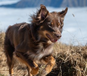 Kleinwalsertal 2025-52.jpg