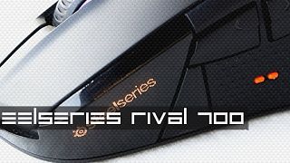 Steelseries Rival 700