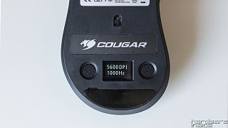 Cougar Surpassion