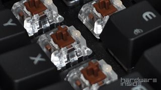 V770 brown