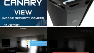 Canary View