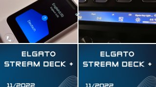 Doggielinos Banner für Video-Tests
