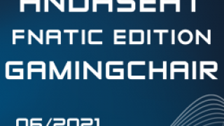 andaseat Fnatic Edition - AWARD.png