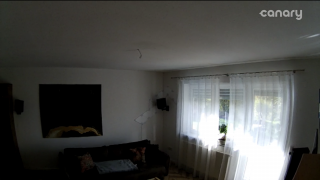 Canary View_13