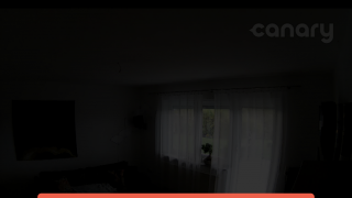 Canary View_18