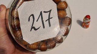 3. Advent Gewinnspiel.jpeg