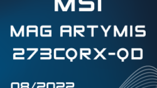 MSI ARTYMIS 273CQRX-QD - Kleiner Award.png