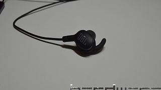 Imported Item