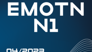 emotn N1 - Award Small.png