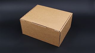 Imported Item