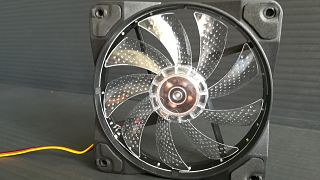 dav