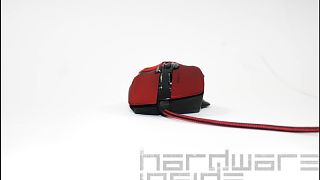 Imported Item