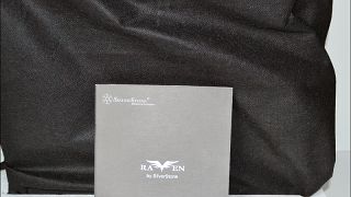 Raven RVZ01 das Konsolen-Gehäuse
