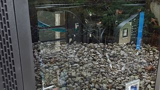 Importierte Elemente