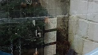 Importierte Elemente