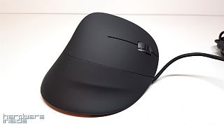 Trust - REXX GXT144 - 6