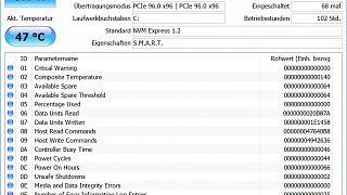 DiskInfo_Kingston_256GB