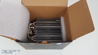 20190307_000918