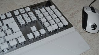 DSC_0661.JPG
