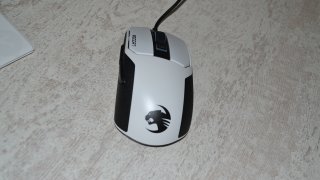 DSC_0664.JPG