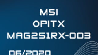 MSI Optix M251RX-003 Award.png