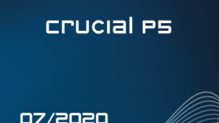 CRUCIAL P5 Award Klein.png