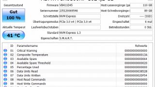 XPG_SX8100_DISKINFO.jpg