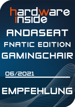 andaseat Fnatic Edition - AWARD.png