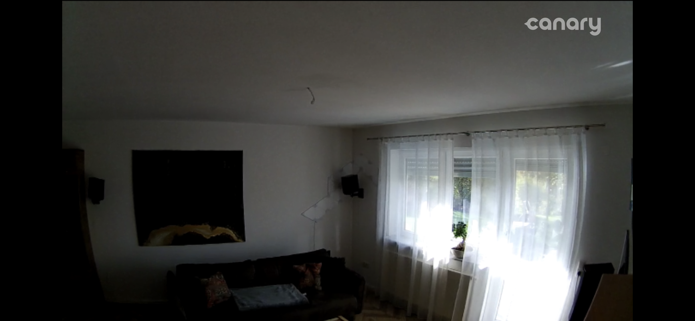 Canary View_13