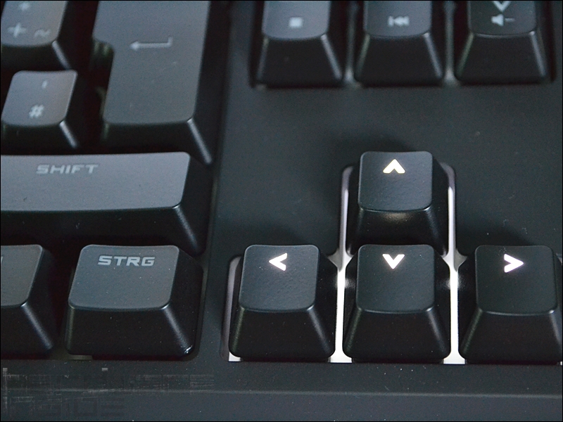 CM RAPID-I