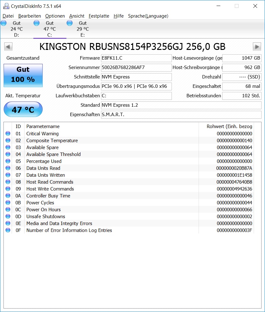DiskInfo_Kingston_256GB
