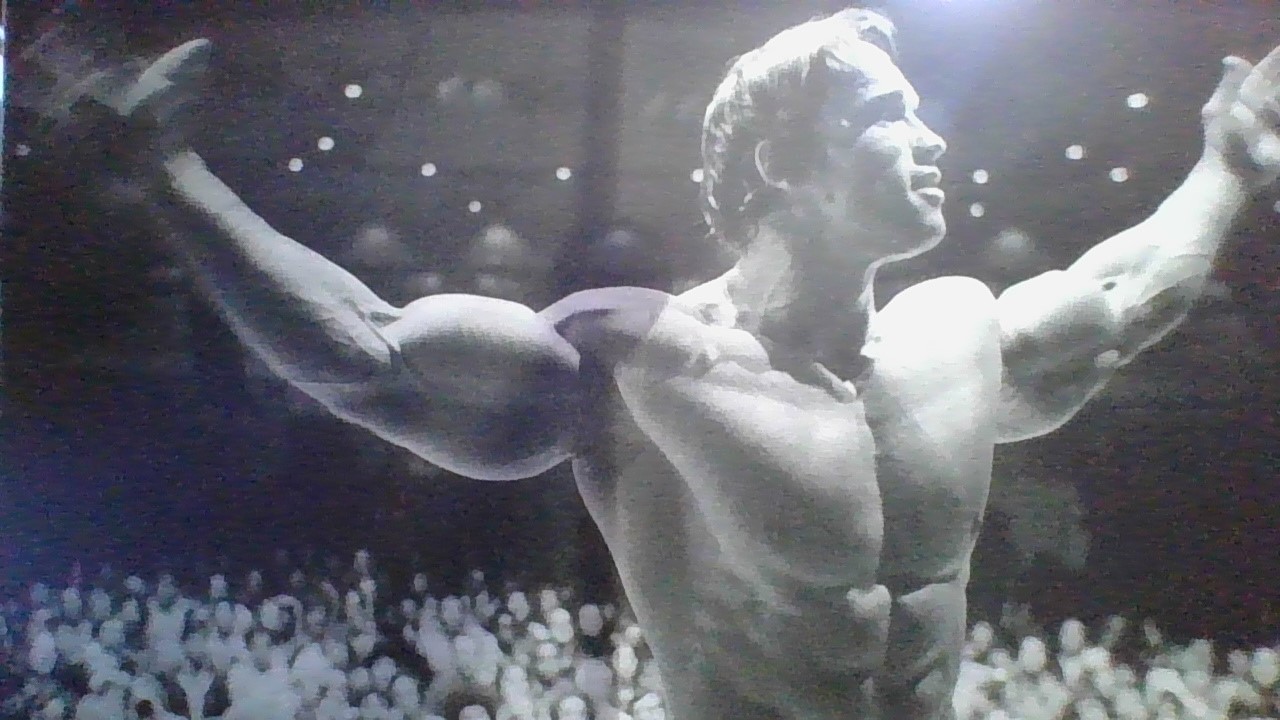 msi-meg381cqrde-plus-arnold-webcam-bild.jpg