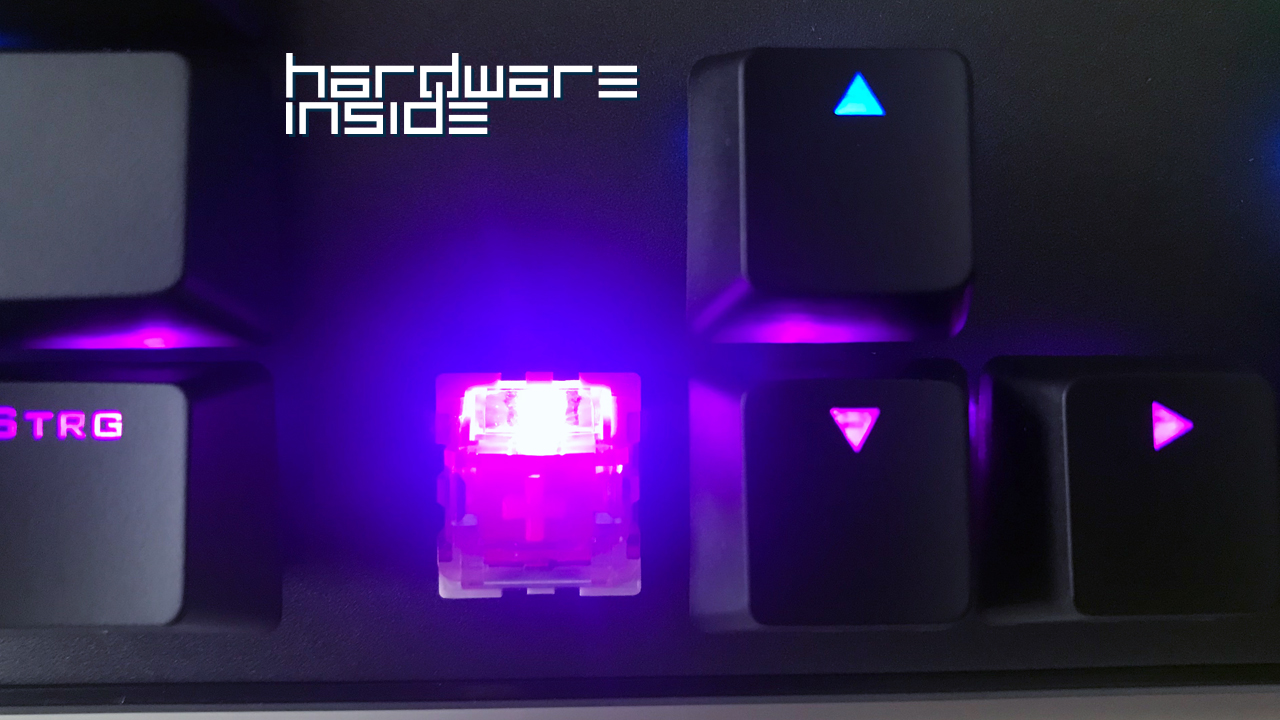 Switch & LED