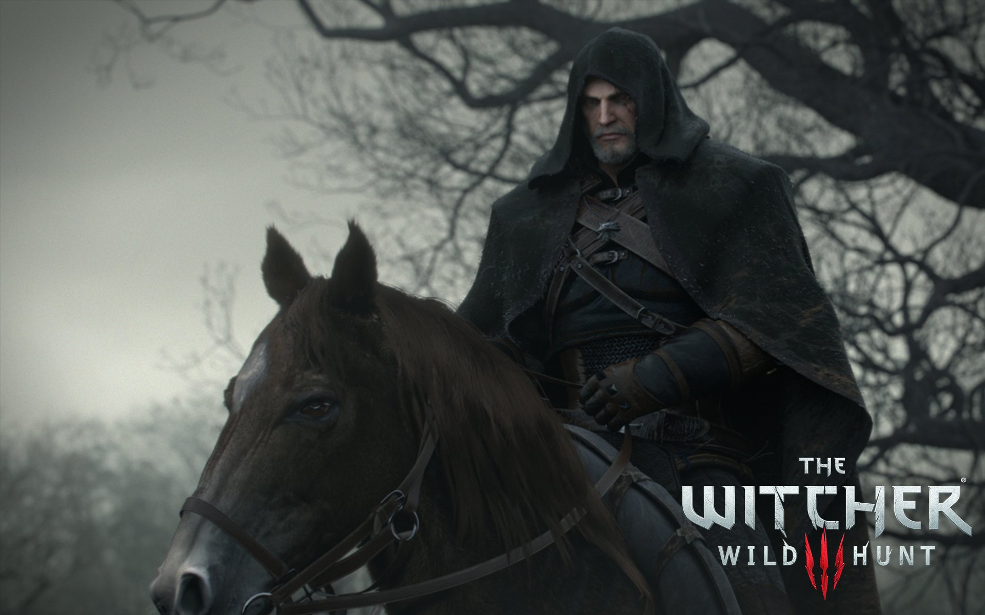 Witcher 3 Wild Hunt, The -  wallpaper 6.jpg