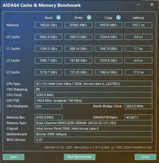 z890 valkyrie_50.jpg
